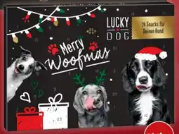 PENNY Lucky Dog Adventskalender Angebot