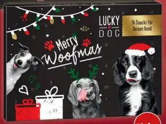 PENNY Lucky Dog Adventskalender Angebot