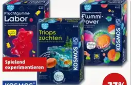 PENNY Kosmos Experimentieren Angebot