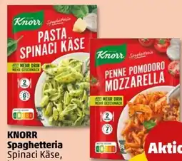 PENNY Knorr Spaghetteria Angebot
