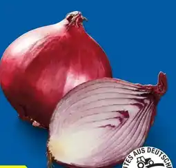 Lidl Rote Zwiebeln Angebot