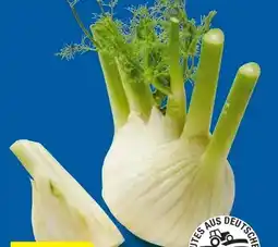 Lidl Bio-Fenchel Angebot