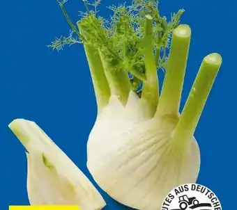 Lidl Bio-Fenchel Angebot