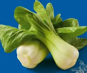 Lidl Pak Choi Angebot