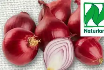 nahkauf Rewe Bio Bio-Speisezwiebeln Angebot