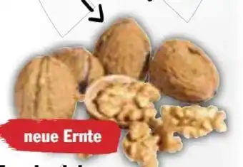 AEZ Walnüsse Angebot