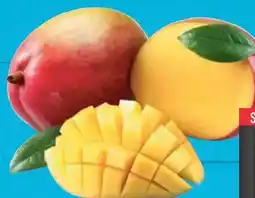 E-Center Mango Osteen Angebot