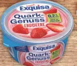 E-Center Exquisa Fruchtquark Angebot