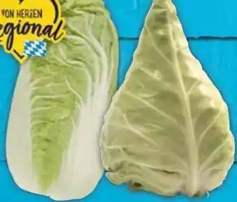 E-Center Spitzkraut Angebot