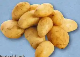 nahkauf Speisekartoffeln Angebot
