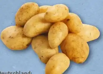 nahkauf Speisekartoffeln Angebot