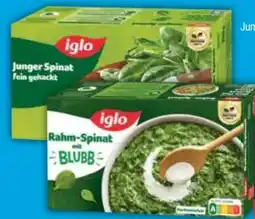 E-Center Iglo Junger Spinat Angebot