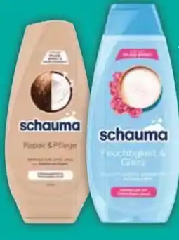 E-Center Schwarzkopf Schauma Shampoo Angebot