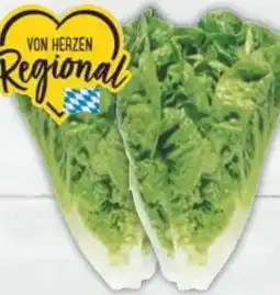 E-Center Mini-Romanasalat Angebot