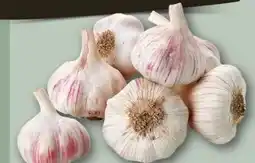 REWE Center Knoblauch Angebot