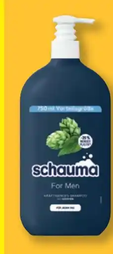 Lidl Schwarzkopf Schauma Shampoo Angebot