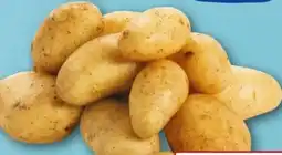 REWE Center Speisekartoffeln Angebot