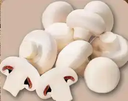 REWE Center Champignons Angebot
