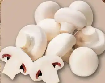 REWE Center Champignons Angebot