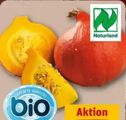 REWE Center Bio Kürbis Hokkaido Angebot