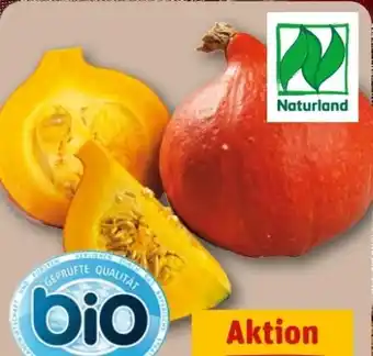 REWE Center Bio Kürbis Hokkaido Angebot