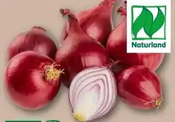 REWE Center Rewe Bio Bio-Speisezwiebeln Angebot