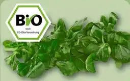 REWE Center Rewe Bio Feldsalat Angebot
