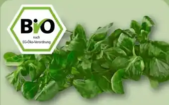 REWE Center Rewe Bio Feldsalat Angebot
