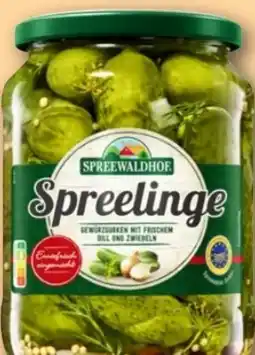 REWE Center Spreewaldhof Spreelinge Gewürzgurken Angebot