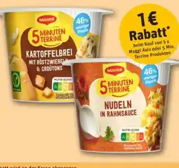 REWE Center Maggi 5 Minuten Terrine Kartoffelbrei mit Röstzwiebeln & Croutons Angebot