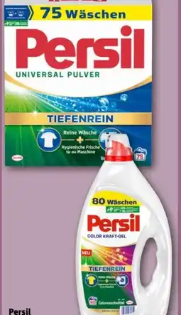REWE Center Persil Universal Pulver Angebot