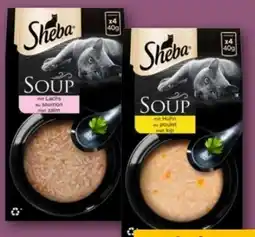 REWE Center Sheba Soup Angebot