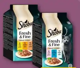 REWE Center Sheba Katzennahrung Fresh & Fine Angebot