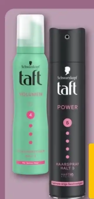 REWE Center Schwarzkopf Taft Schaumfestiger Angebot