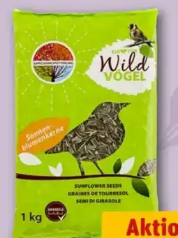 REWE Center Degro Wildvögel Sonnenblumenkerne Angebot