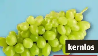 REWE Tafeltrauben Angebot