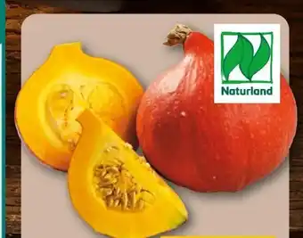 REWE Rewe Bio Bio-Hokkaido Kürbis Angebot