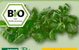 REWE Rewe Bio Feldsalat Angebot
