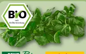 REWE Rewe Bio Feldsalat Angebot