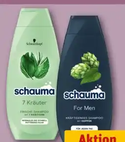 REWE Schwarzkopf Schauma Shampoo Angebot