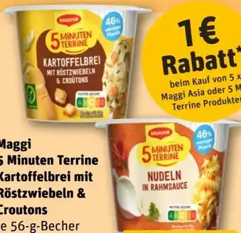 REWE Maggi 5 Minuten Terrine Kartoffelbrei mit Röstzwiebeln & Croutons Angebot