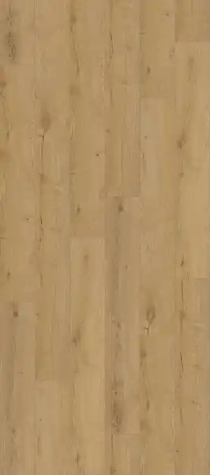 Globus Baumarkt Decoflooring Vinylboden Eiche Angebot
