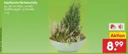 Netto Marken-Discount Bepflanzte Herbstschale Angebot