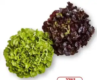 Edeka Unsere Heimat Echt & Gut Kraussalat Angebot