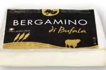 Scheck-in-Center Bergamino di Bufala Angebot