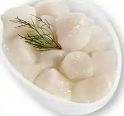 Scheck-in-Center Tiefsee-Scallops Angebot