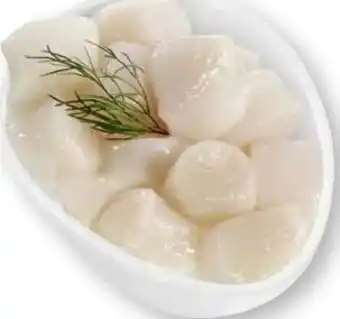 Scheck-in-Center Tiefsee-Scallops Angebot