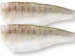 Scheck-in-Center Zanderfilets Angebot