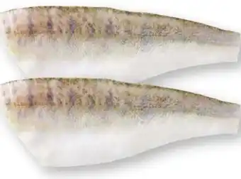Scheck-in-Center Zanderfilets Angebot