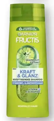 Scheck-in-Center Garnier Fructis Shampoo Angebot